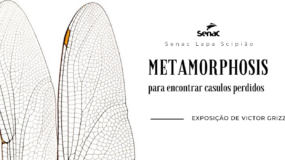 Abertura Exposição: Metamorphosis – para encontrar casulos perdidos – Victor Grizzo