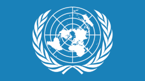 SIMULAÇÃO ONU