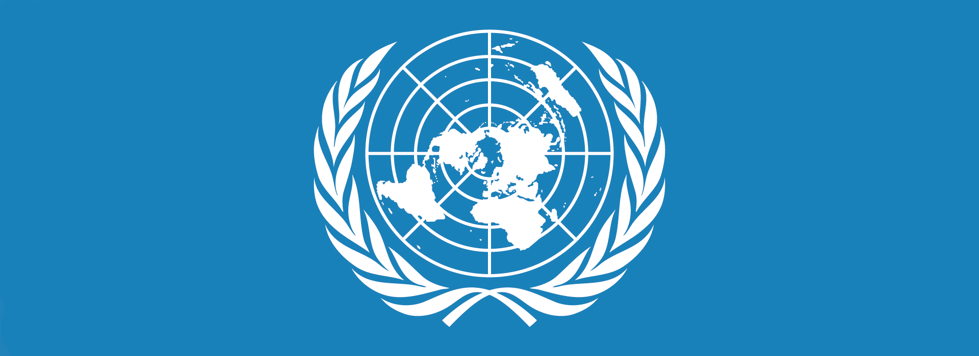 SIMULAÇÃO ONU